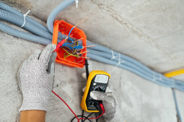 Best Electric Panel Repair  in Sistersville, WV